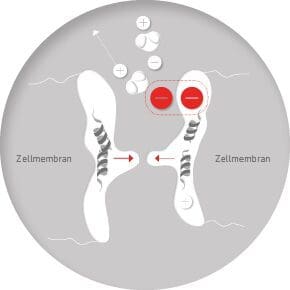 A circular diagram of the process of an intra-articular ligament injury.